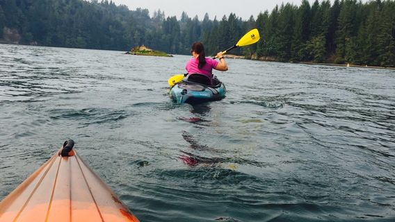 Ike Kinswa State Park