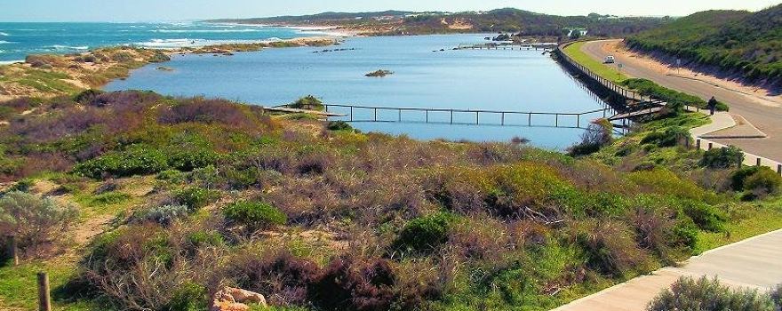 Dongara