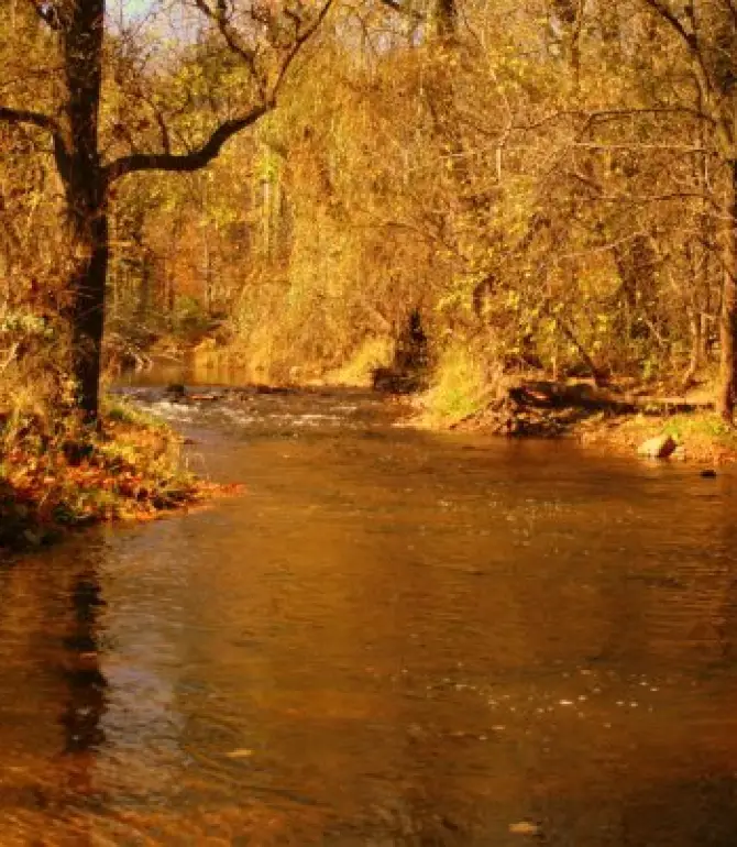 Ray Township