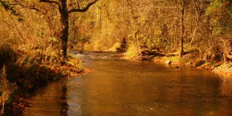 Wolcott Mill Metropark Farm Center