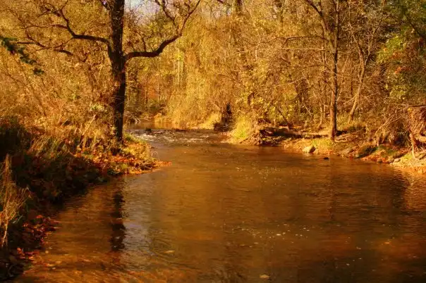 Hotels in Ray Township