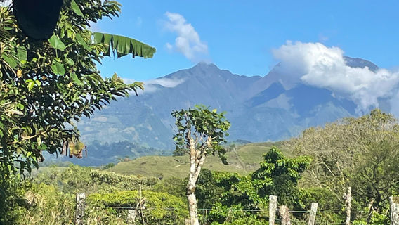 Sitio Barriles Museum