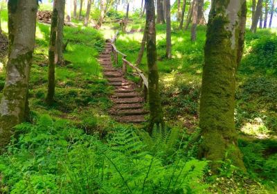 Hunting Brook Gardens