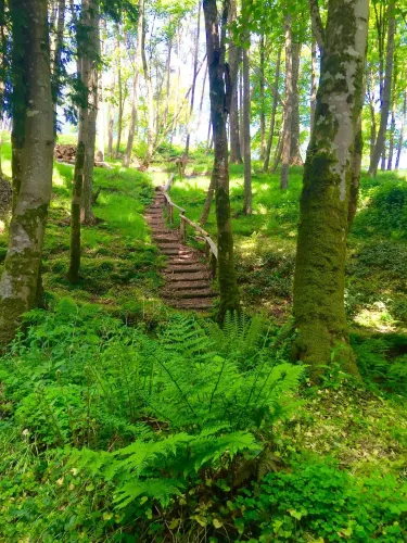 Hunting Brook Gardens