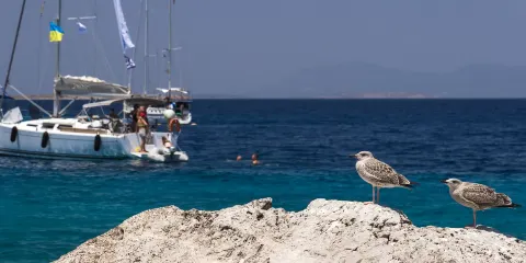 Moni Island Beach