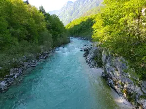 Napoleon's Bridge