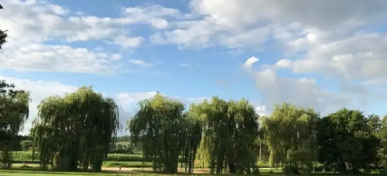 Hotels in Winneshiek County