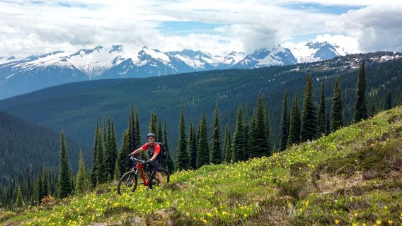 Revelstoke