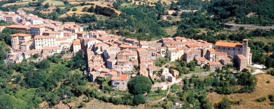 Scansano