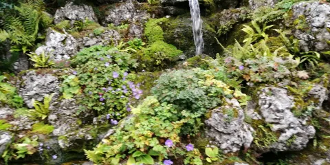 Aysgarth Edwardian Rock Garden