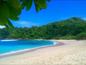 Wedi Ireng Beach