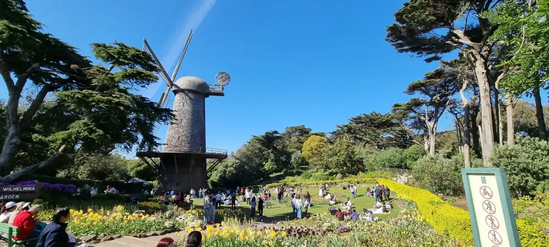 Golden Gate Park Windmills & Tulips 주변 호텔