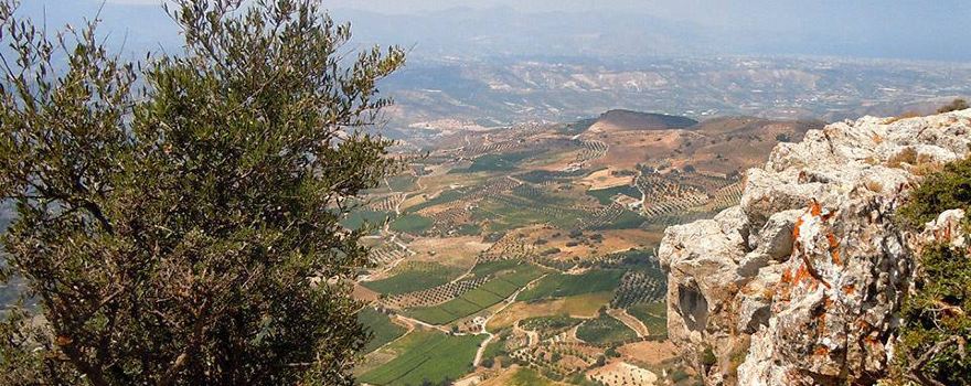 Sinadinakis Winery