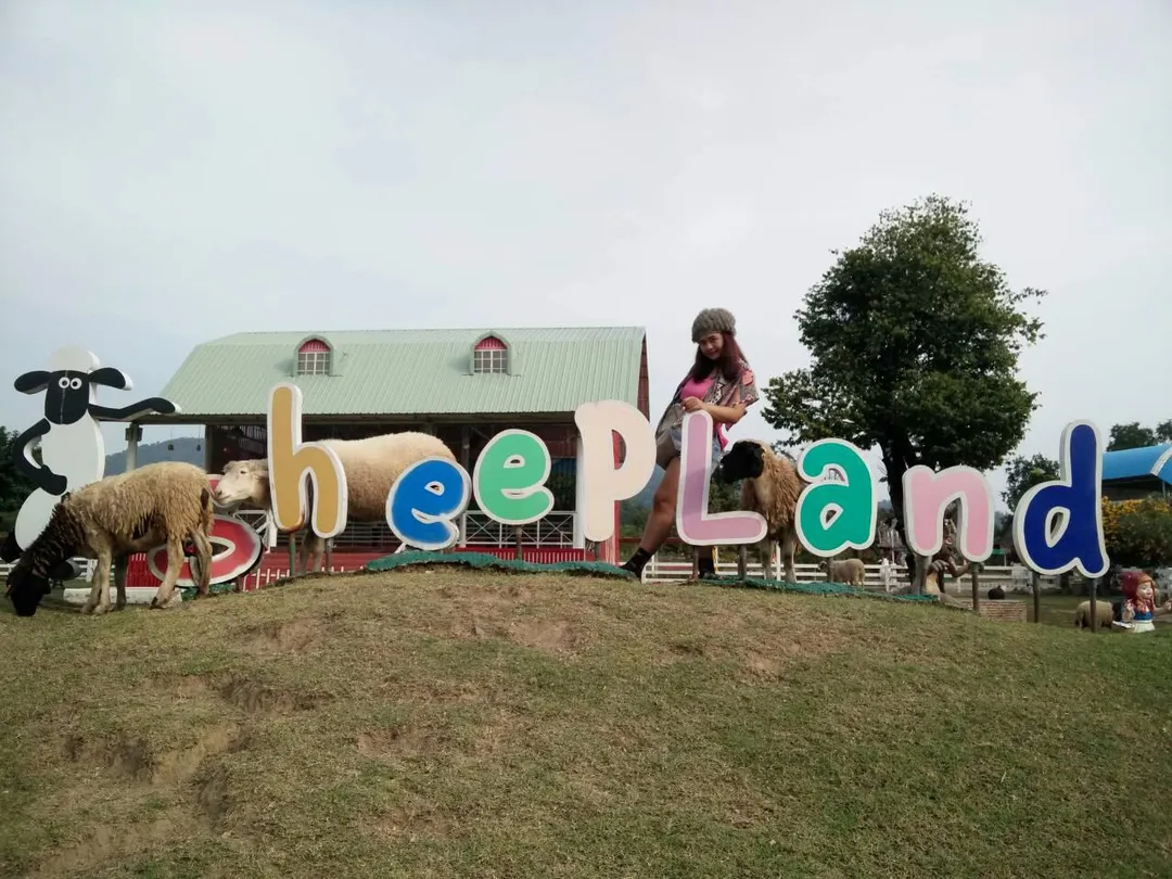 3_New Land Saun Phueng