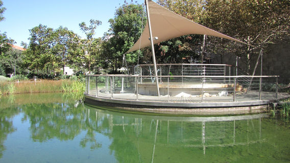 Парк Коммонуэлт