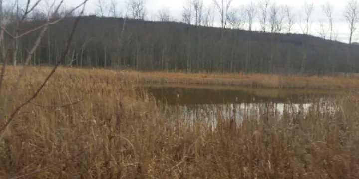 Goose Pond Mountain State Park