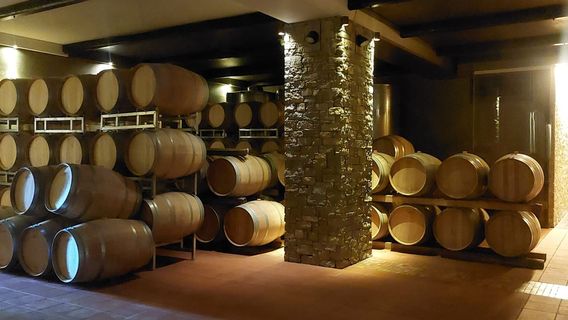 Azienda Agricola Conterno Fantino