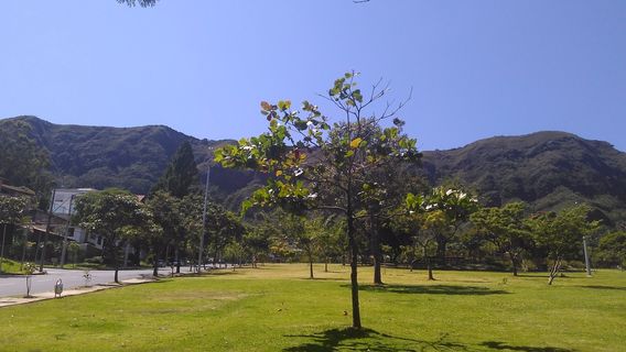 Tirolesa BH