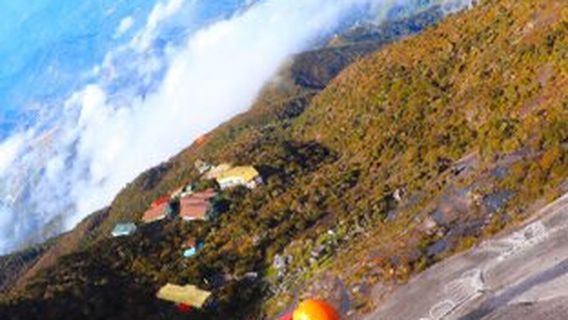 Mount Kinabalu Botanical Garden