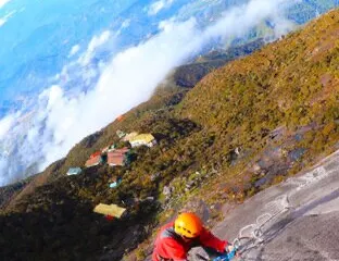 Mount Kinabalu Botanical Garden