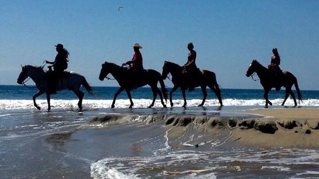 Montate a la Aventura Eco Tour a Caballo