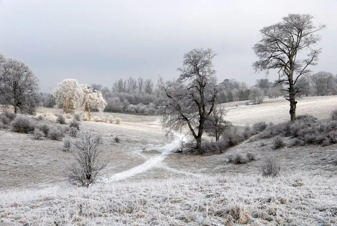 Hotels near Tring Park