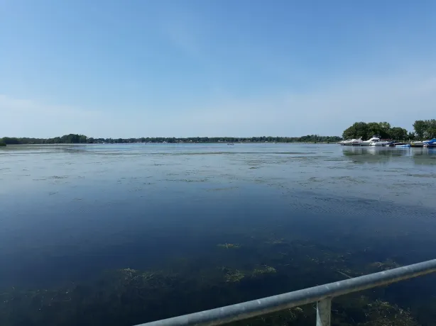 Braddock Bay Wildlife Management Area