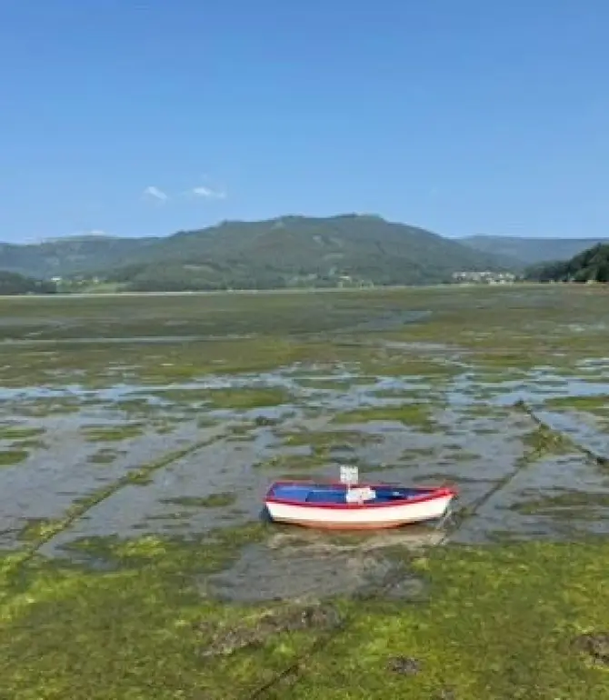 Ortigueira