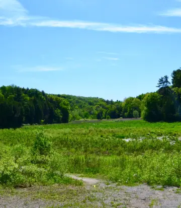 Bradford West Gwillimbury