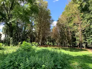 Molodizhnyy Park