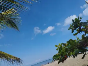 Playa El Totumo