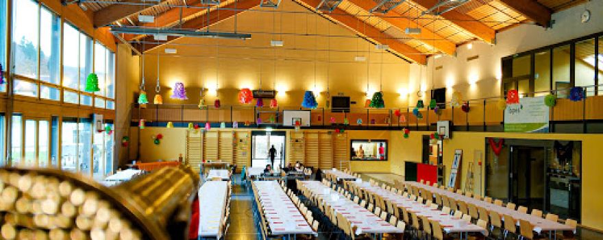 Halle Sport & Culture