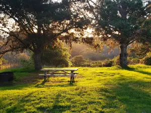 San Simeon Creek Campground