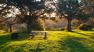 San Simeon Creek Campground