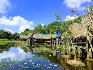 Trằm Trà Lộc