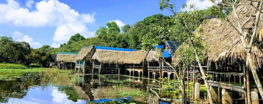 Trằm Trà Lộc