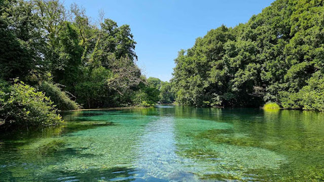 Black Drim's Springs