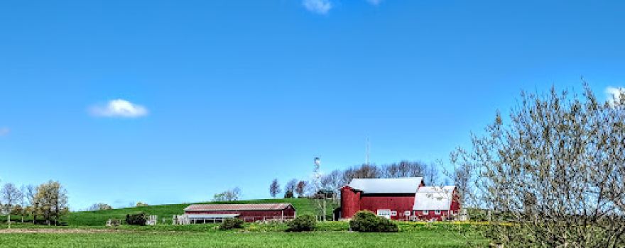 Berry Hill