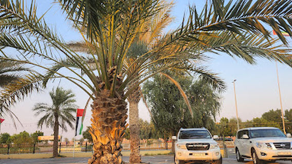 Golden Desert Motorcycles Rental
