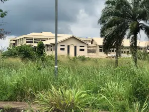 Prof. Festus Aghabo-Nwako Digital Library