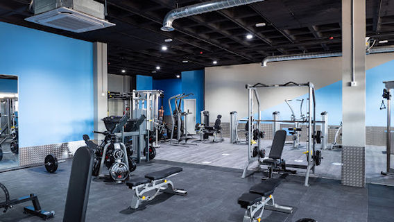 Blue Fitness Gyms