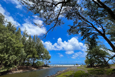 Pololū Valley