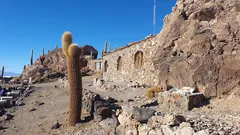 Cactus island! | Trip.com