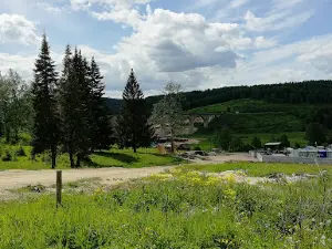 Виадук Саранинский