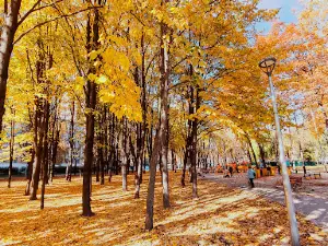 Park "Yunistʹ"