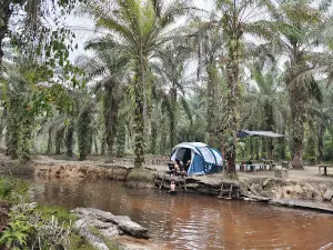 Sungai Ani River