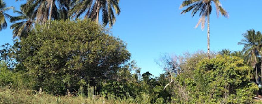 Praça de Pirajuia