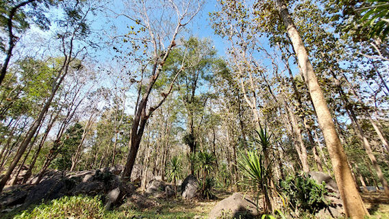 Doi Pha Klong National Park