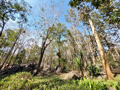 Doi Pha Klong National Park