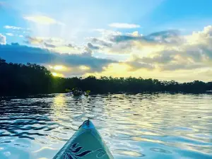 My Holbox Tours